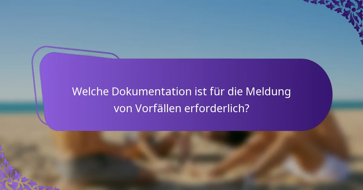 Welche Dokumentation ist für die Meldung von Vorfällen erforderlich?