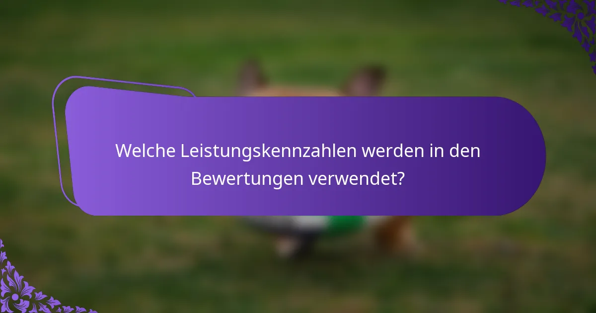 Welche Leistungskennzahlen werden in den Bewertungen verwendet?