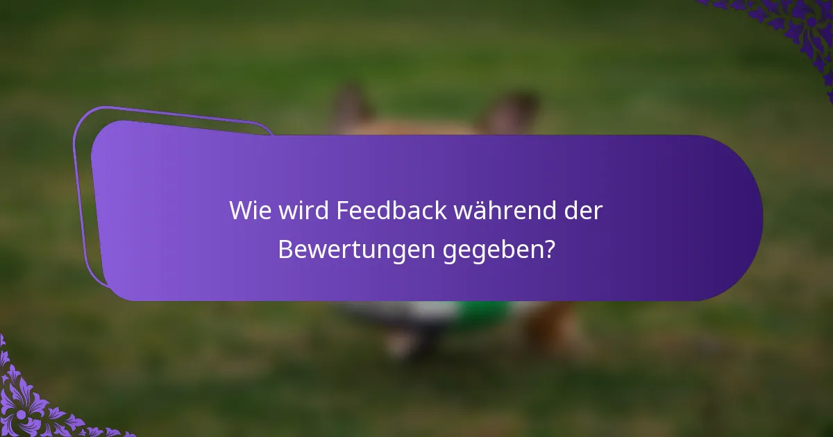 Wie wird Feedback während der Bewertungen gegeben?